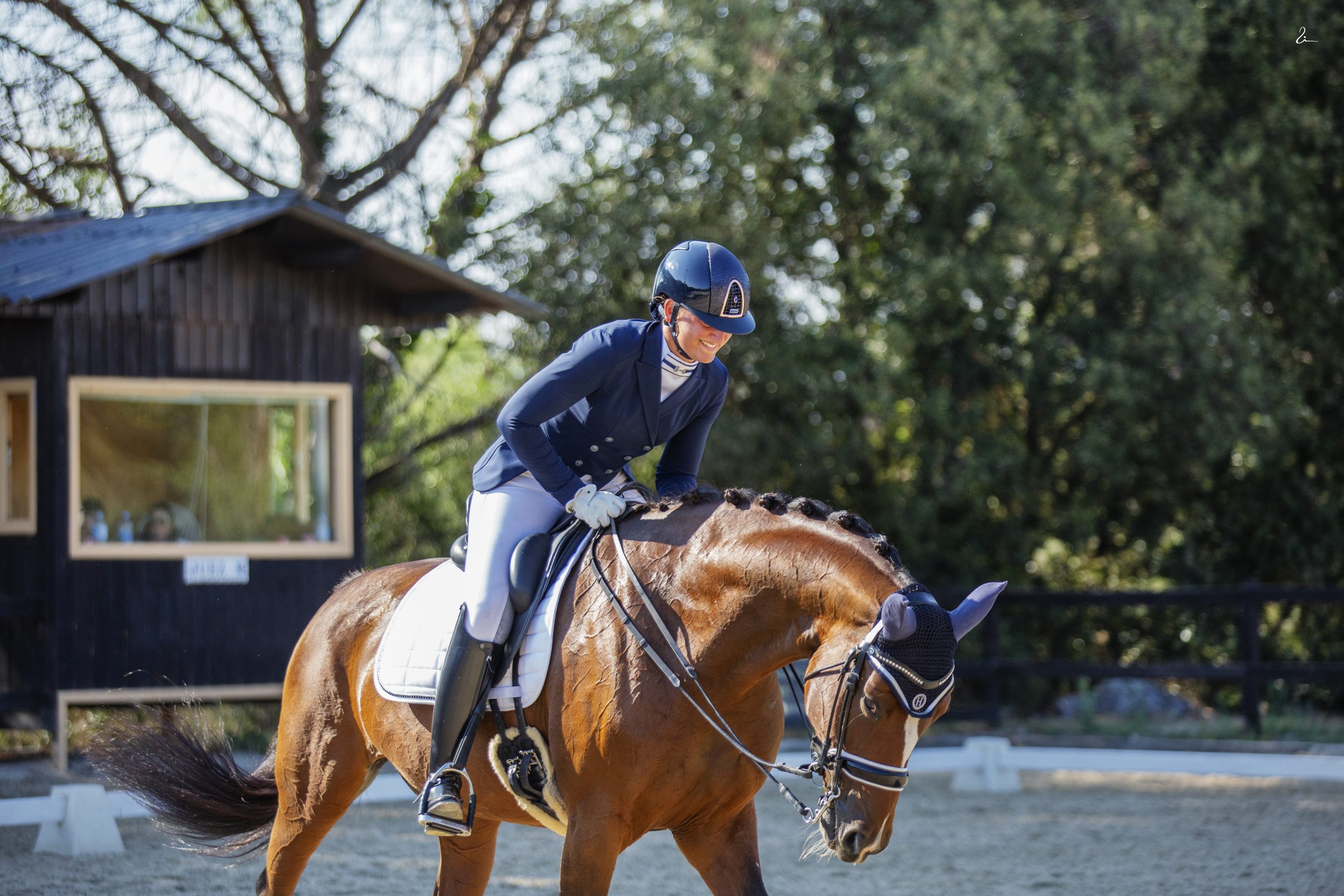 Dressage training by Lucía Galbis in Denmark