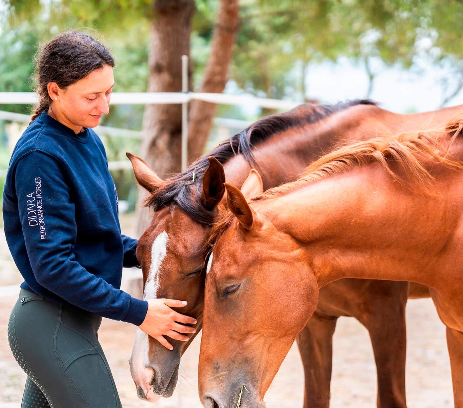 Didara Performance Horses young foal at pasture, Lucía Galbis breeding programme