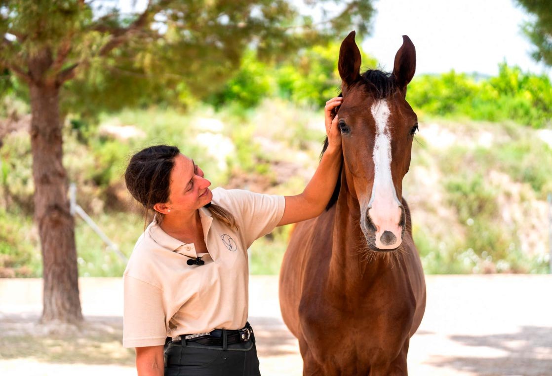 Didara Performance Horses young foal at pasture, Lucía Galbis breeding programme