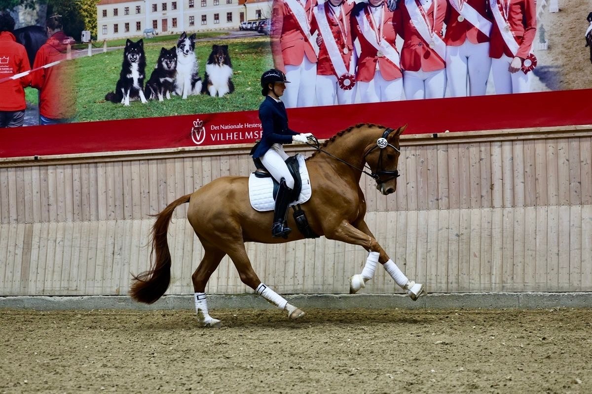 Lucía Galbis competing