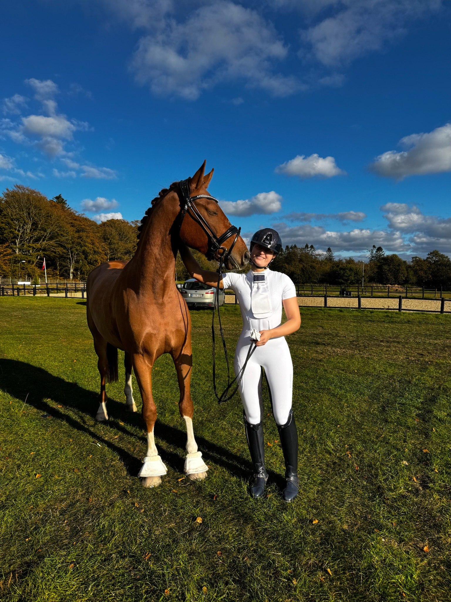 Horse sales by Lucía Galbis based in Denmark
