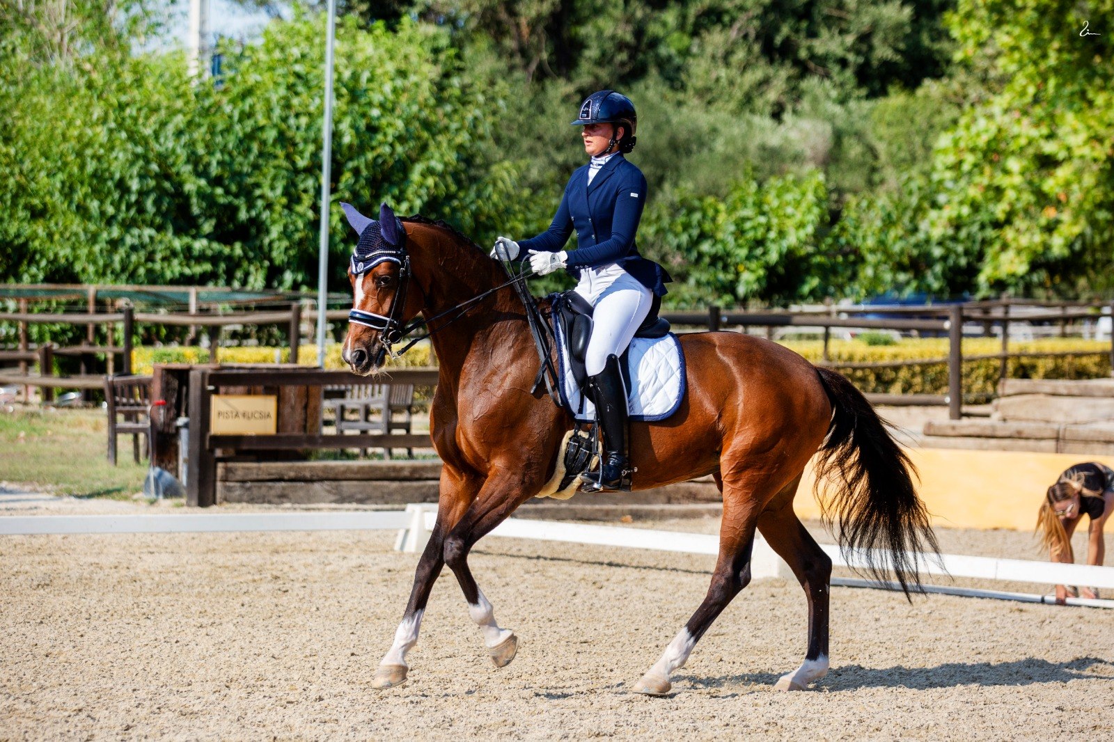 Competition preparation dressage Denmark with Lucía Galbis
