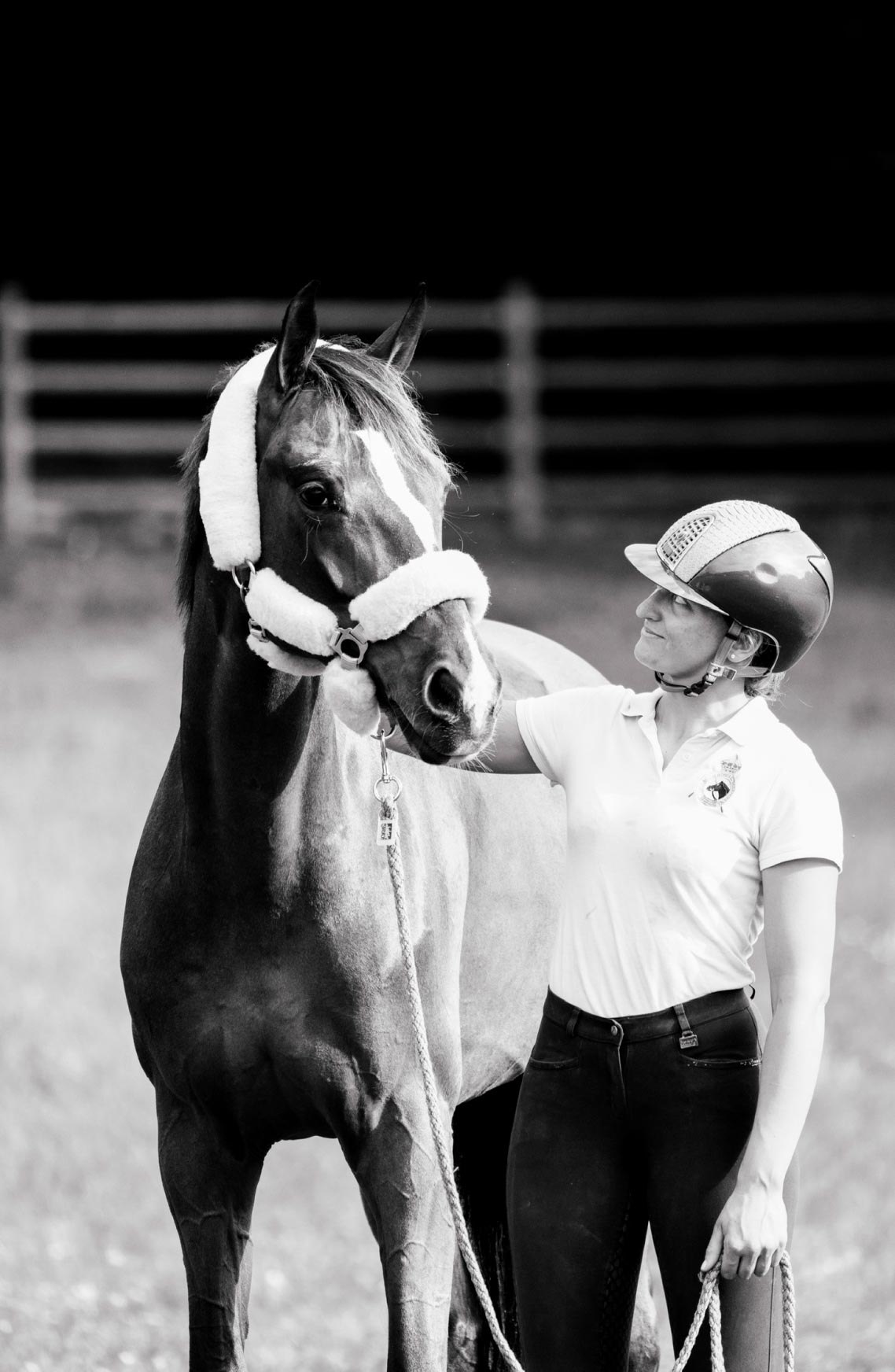 Young horse development by Lucía Galbis in Denmark